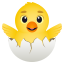 🐣