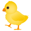 🐤