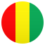 🇬🇳