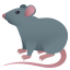 🐀