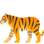 🐅