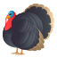 🦃