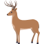 🦌