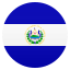 🇸🇻