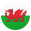 :wales: 🏴