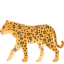 🐆