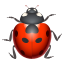 🐞