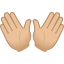 👐🏼