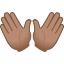 :open_hands_tone3: 👐🏽