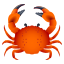 🦀